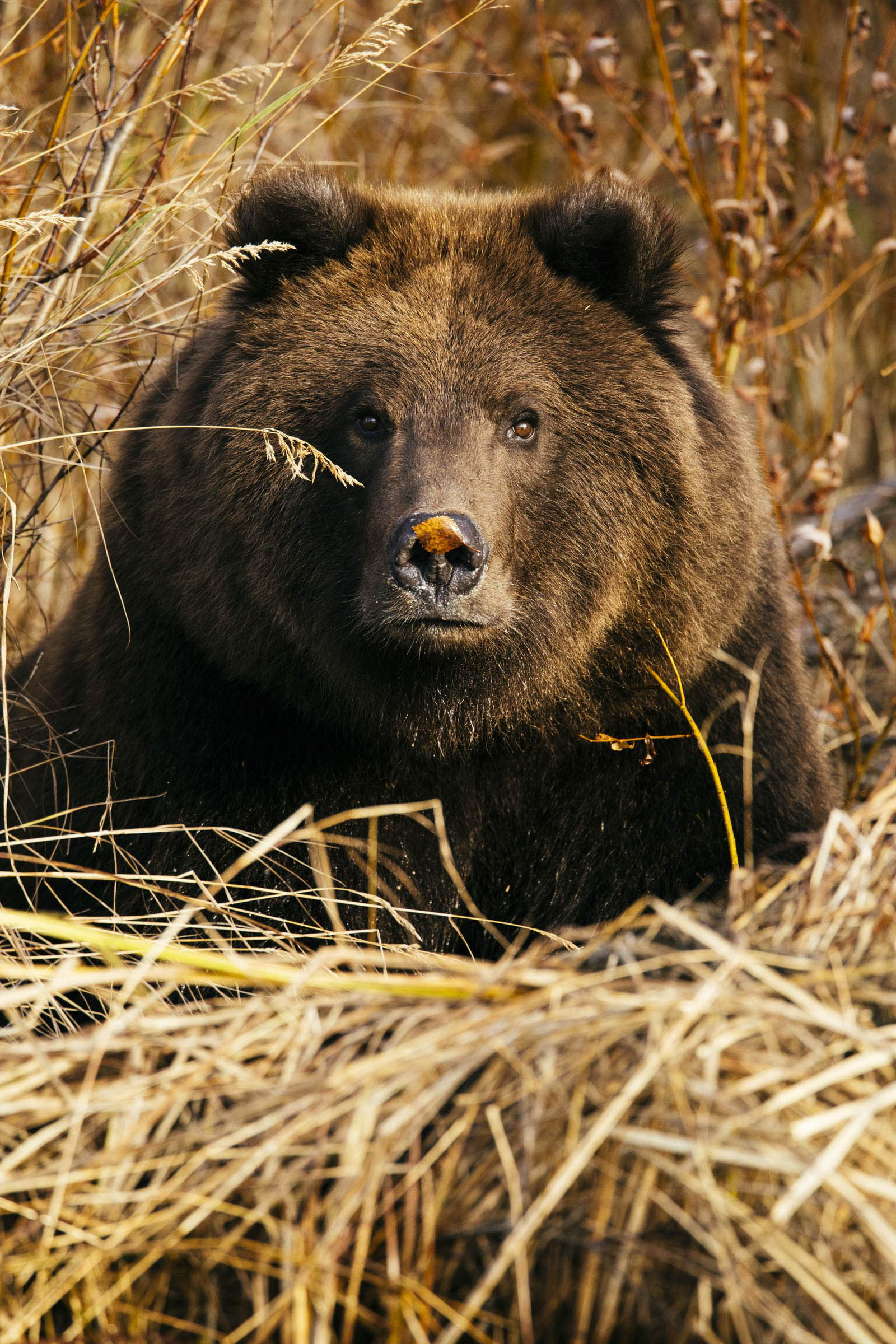 49_R3226435