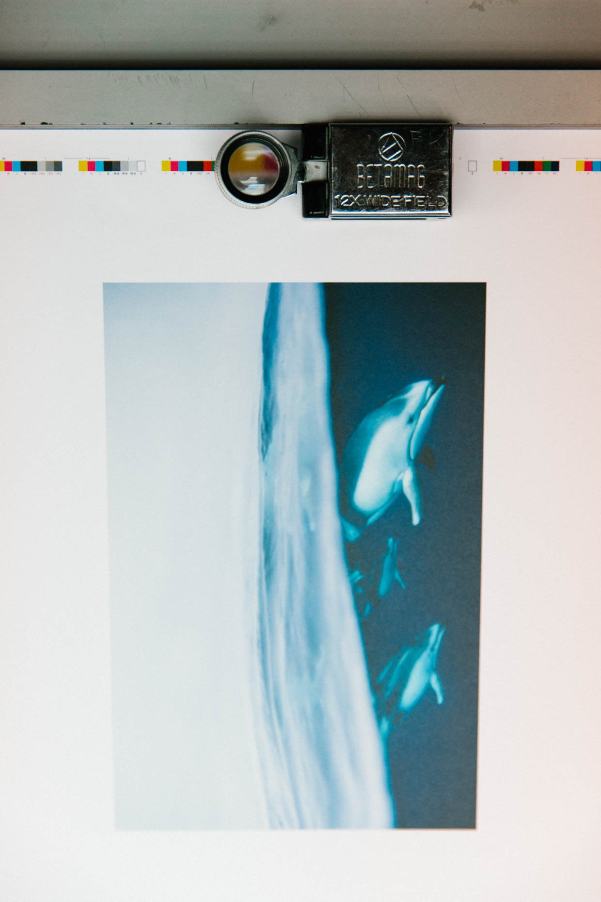 8_061A2042